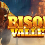 Bison Valley